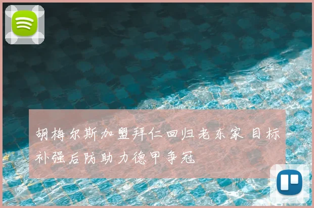 胡梅尔斯加盟拜仁回归老东家 目标补强后防助力德甲争冠