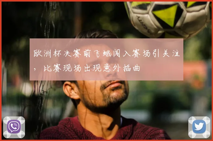 欧洲杯决赛前飞蛾闯入赛场引关注，比赛现场出现意外插曲