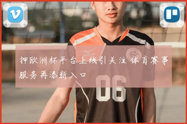 押欧洲杯平台上线引关注 体育赛事服务再添新入口