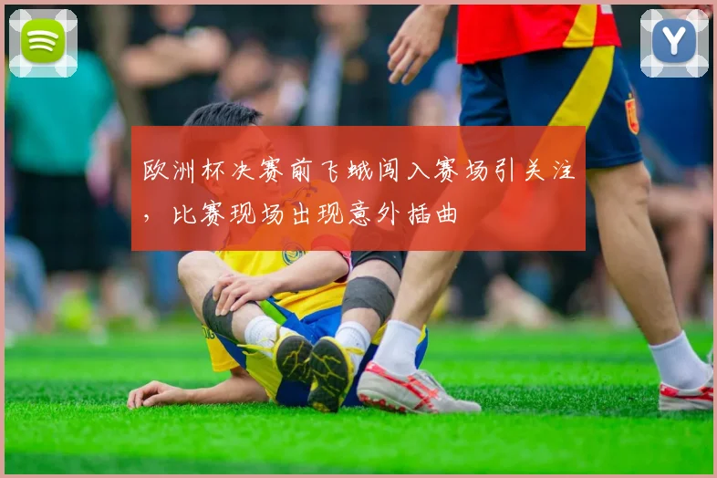 欧洲杯决赛前飞蛾闯入赛场引关注,比赛现场出现意外插曲